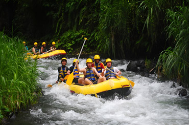 Bali Rafting And Ubud Tour